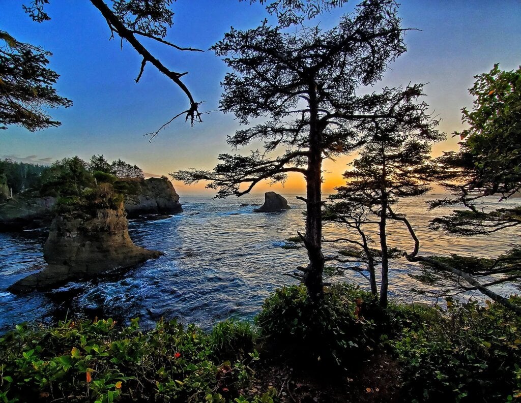 Shi Shi Beach coastal trail with sea stacks and trees, Olympic Peninsula