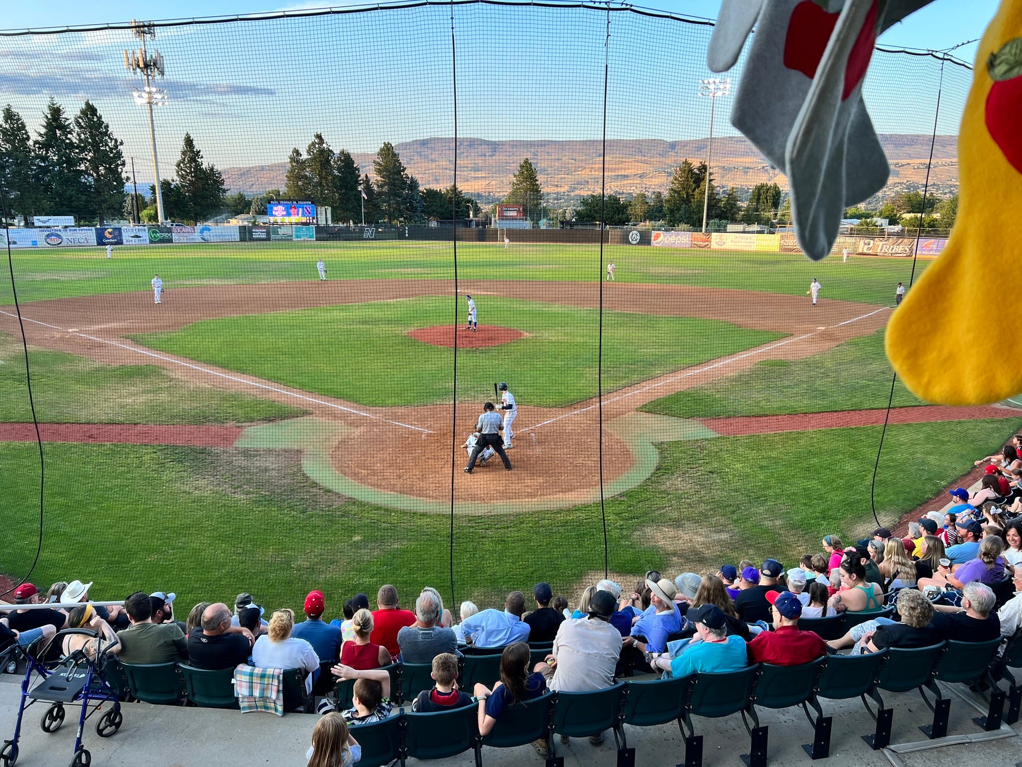 Wenatchee Applesox Baseball Game