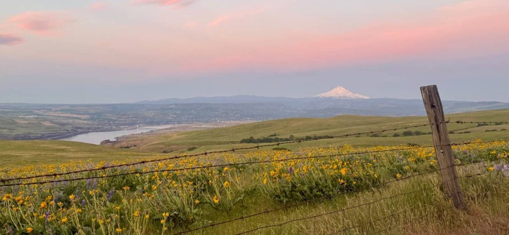 Columbia Hills State Park by Lisa Mize