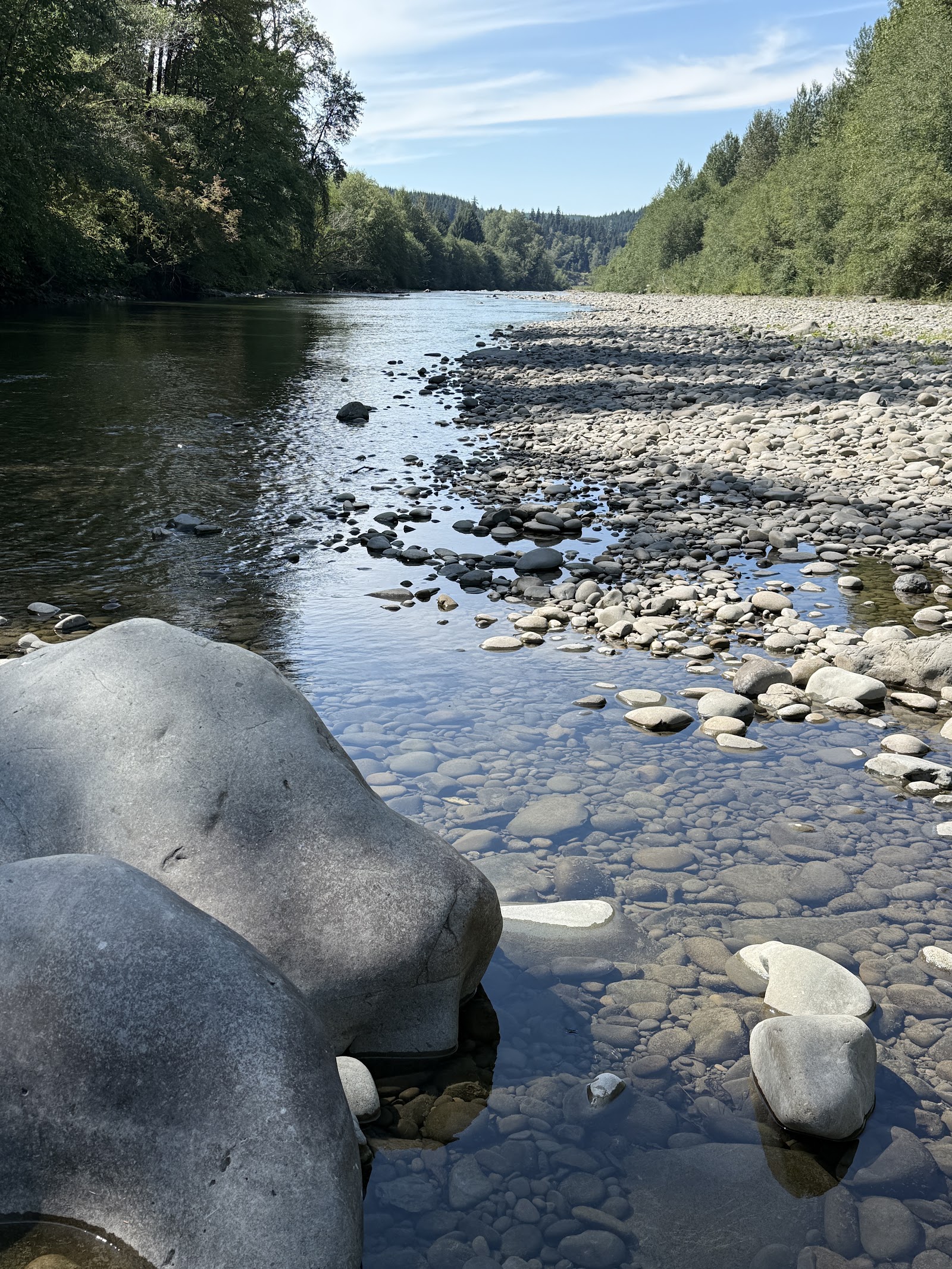 Bogachiel State Park