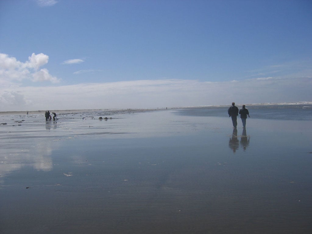 Razor Clamming When the Season Opens