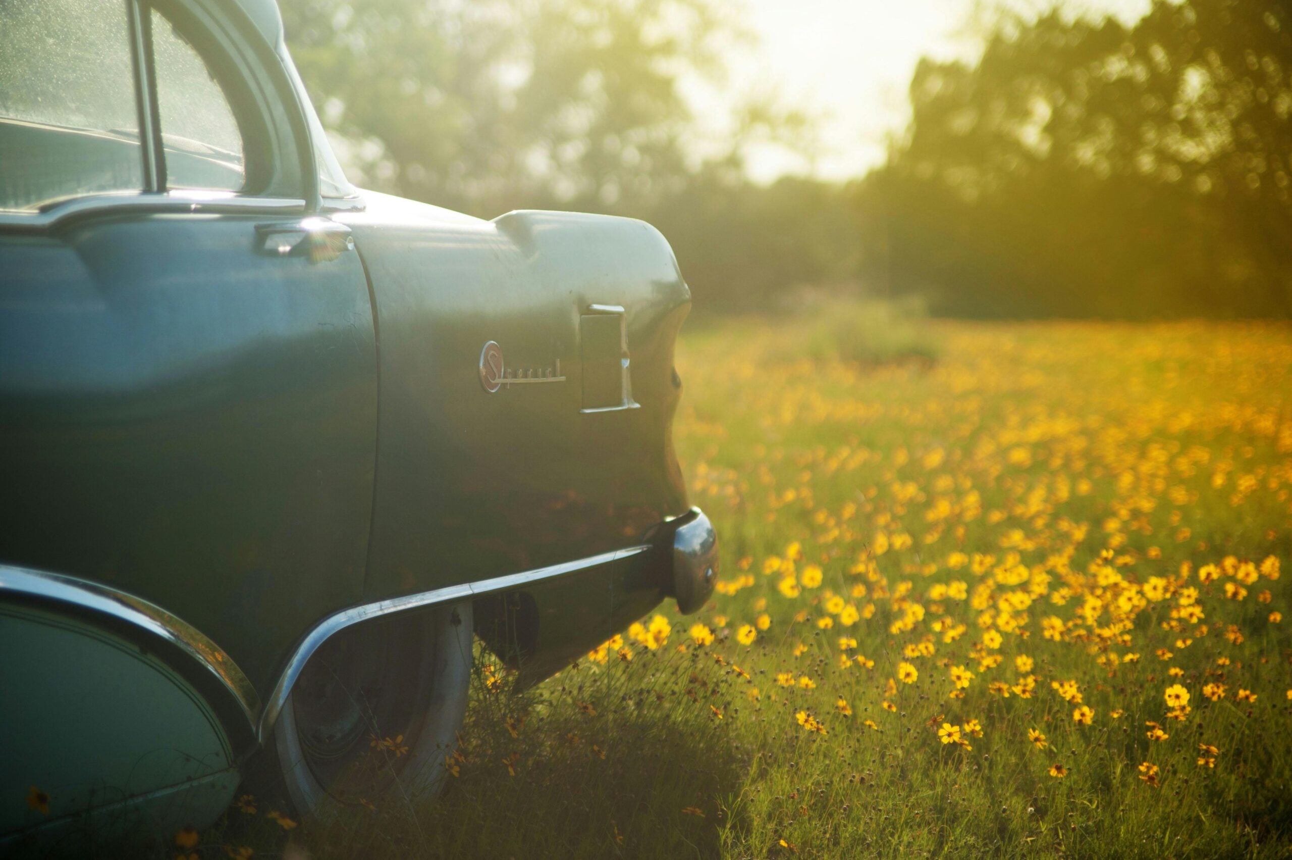 Classic car in a golden flower field