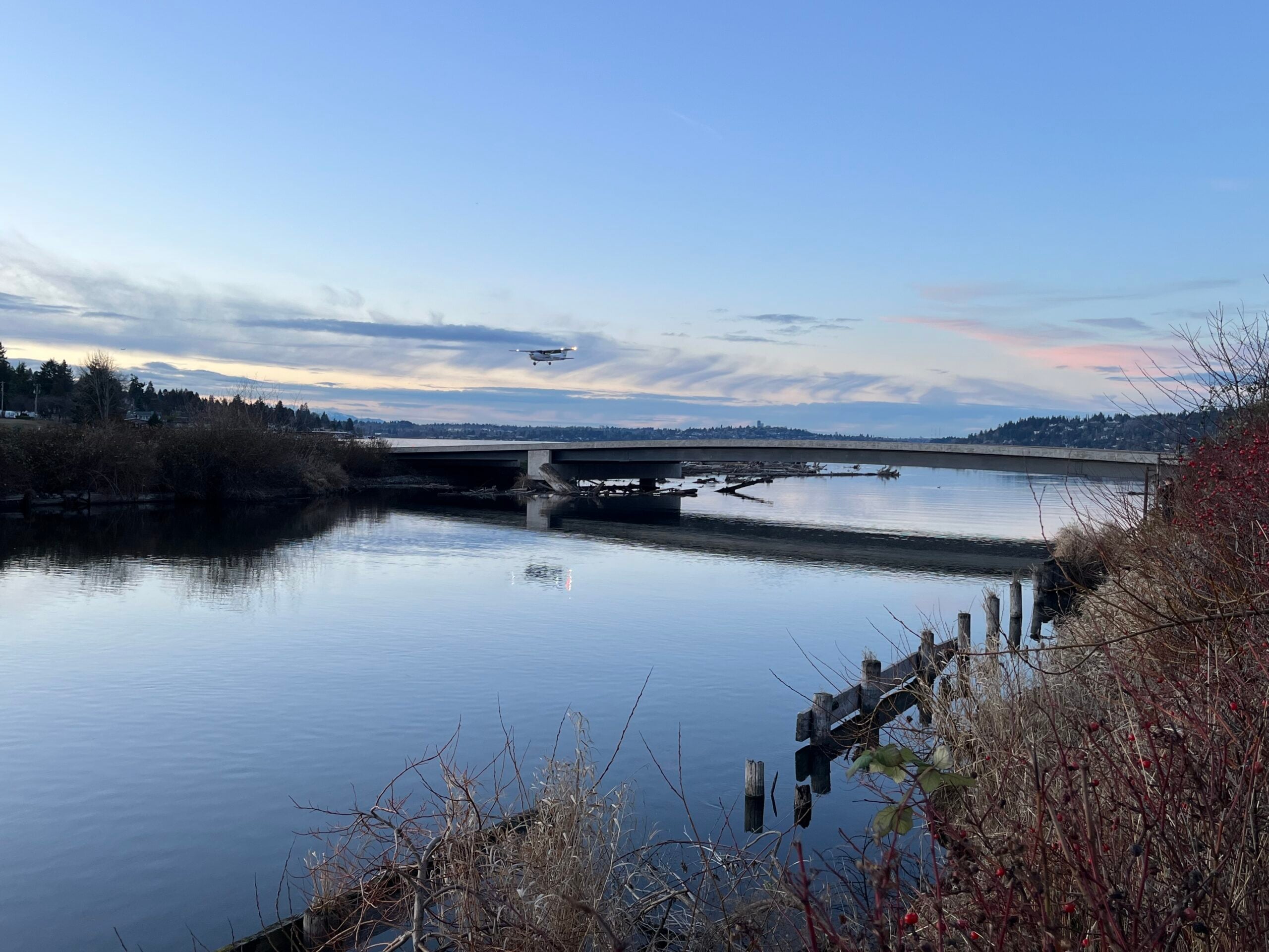 Cedar River Salmon Run