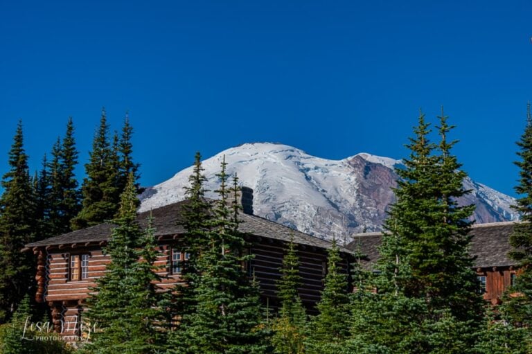 Where to Stay Inside Mount Rainier National Park in 2026