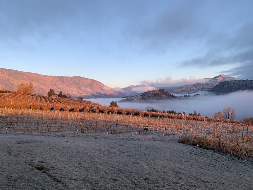 Chelan Valley Farms