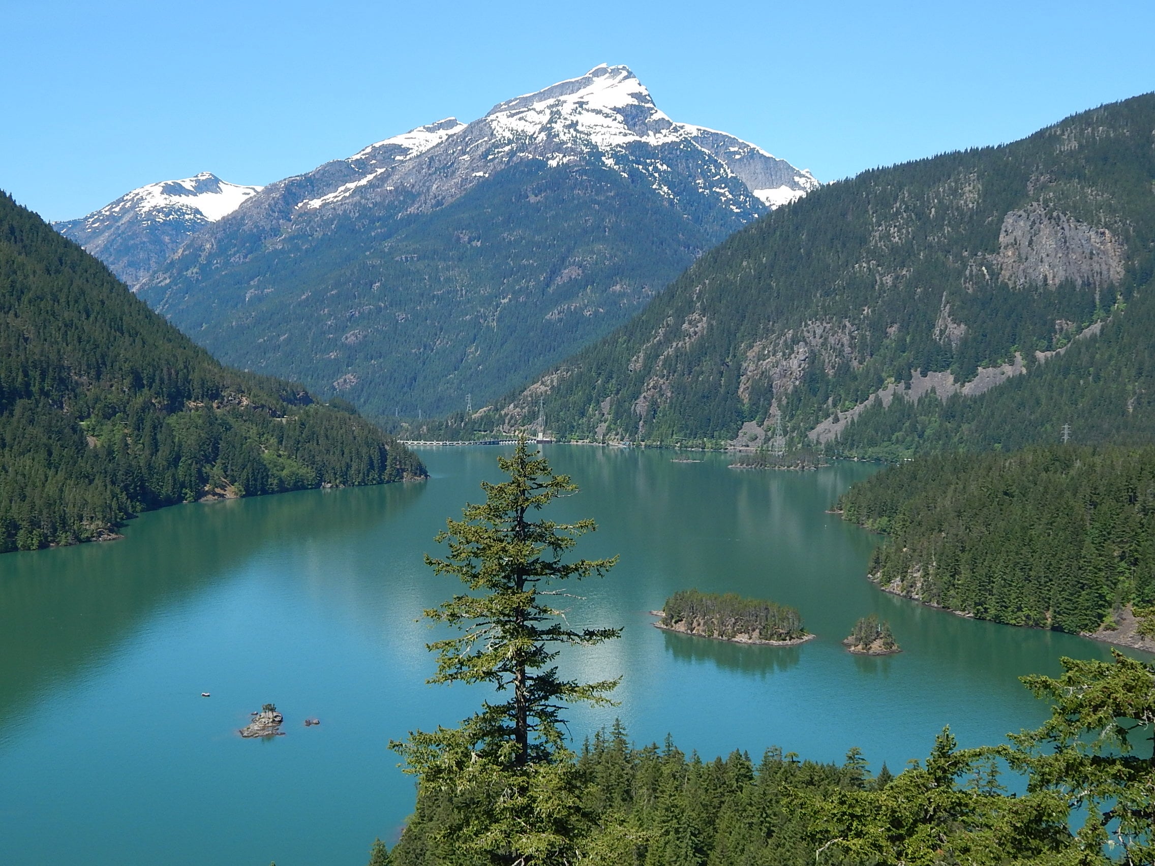 View of Davis Peak and turquoise Diablo Lake from the overlook in the North Cascades