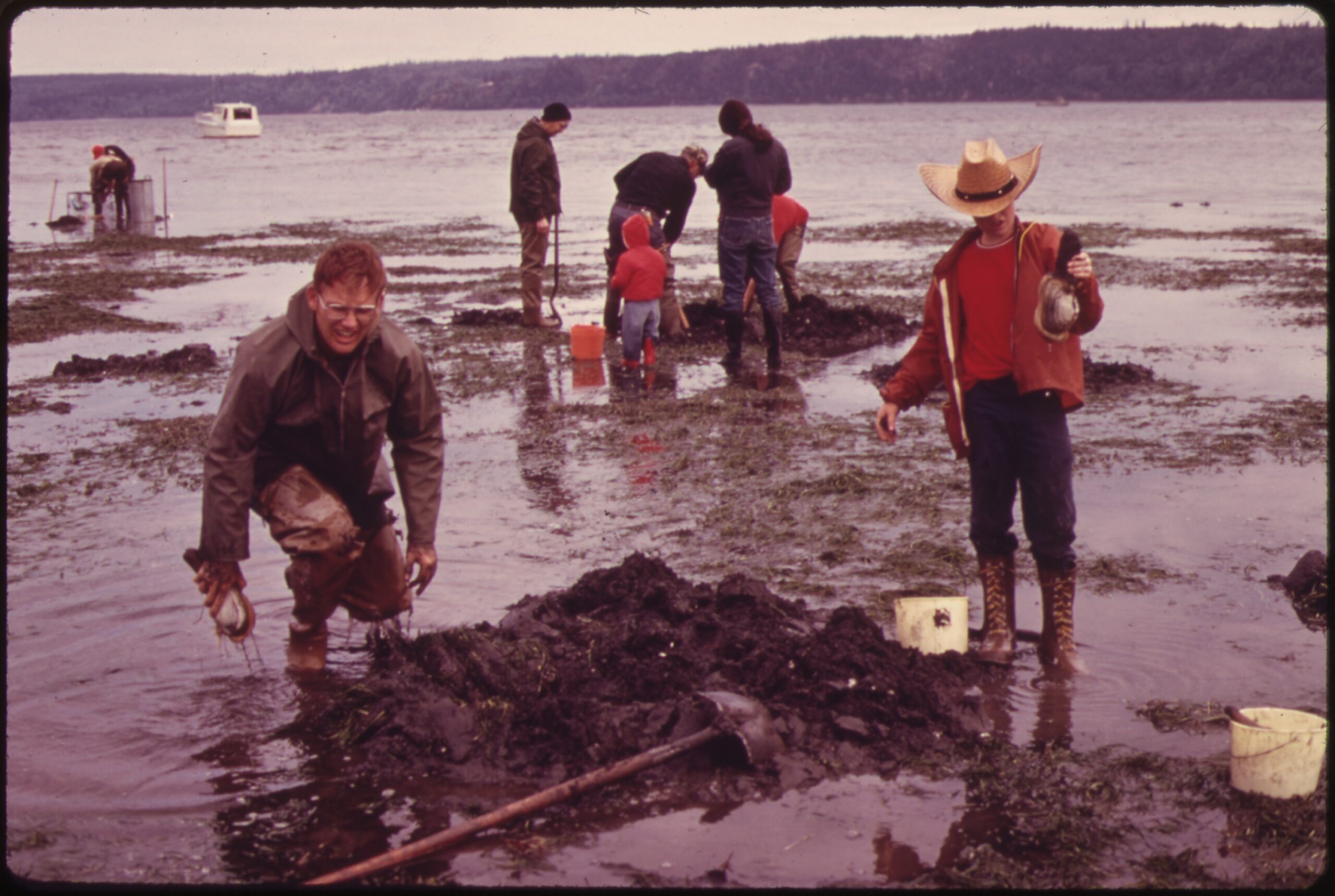 Hood Canal Shellfish