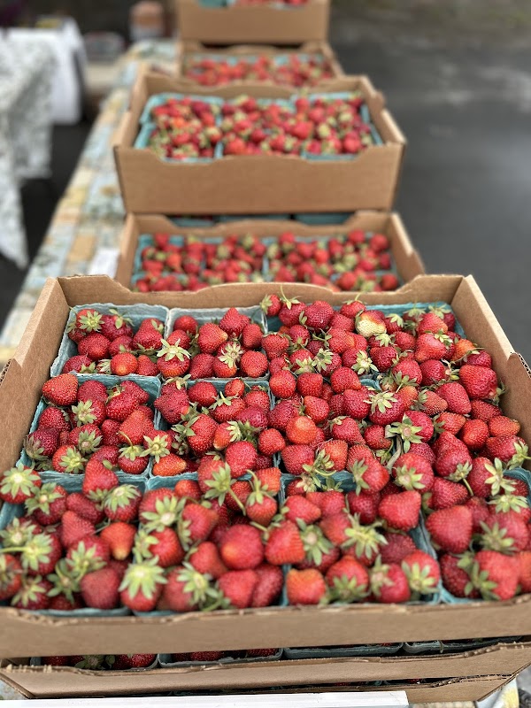 Methow Valley Farmers Market