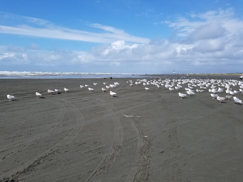 Ocean Shores Golf Course