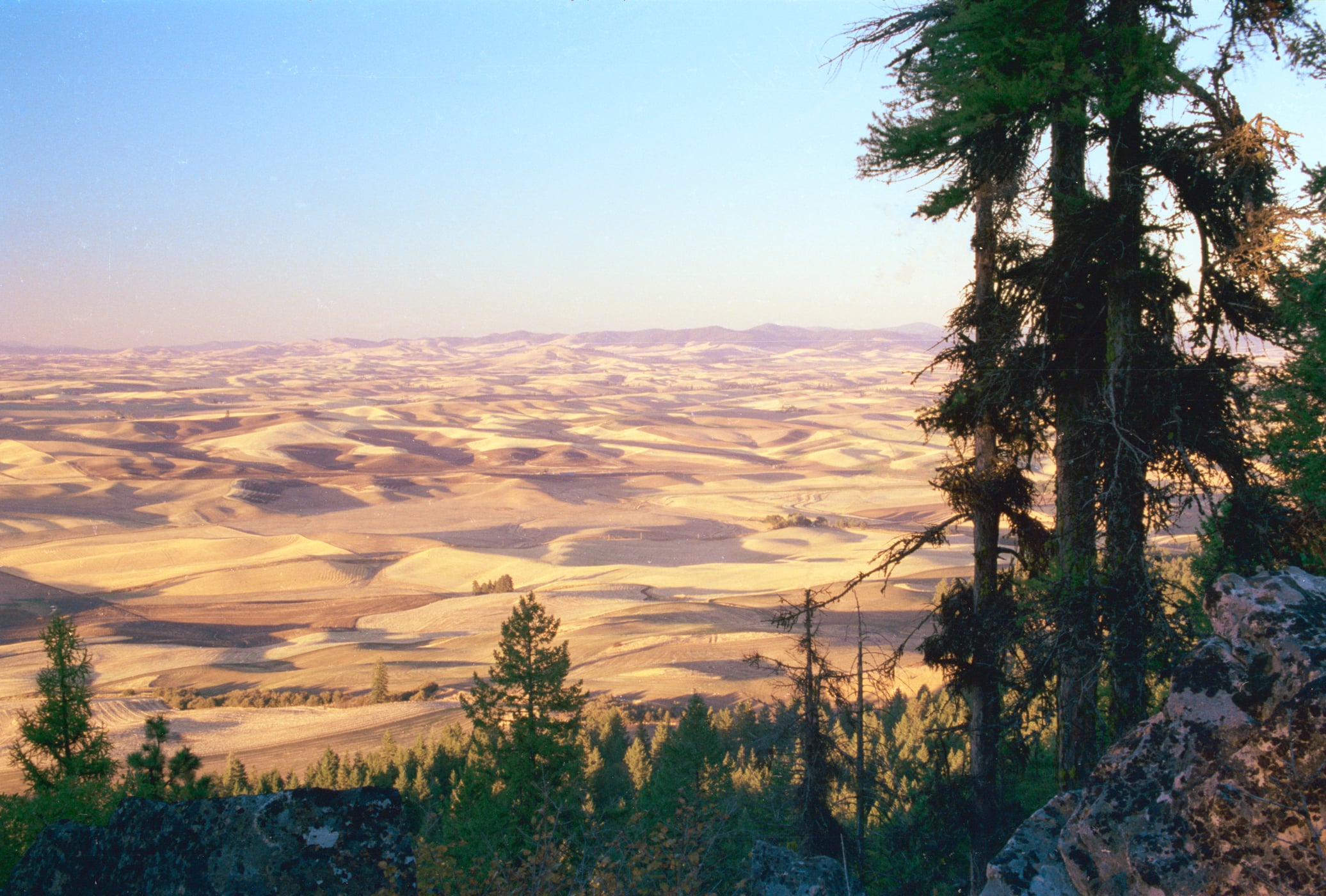 Kamiak Butte County Park