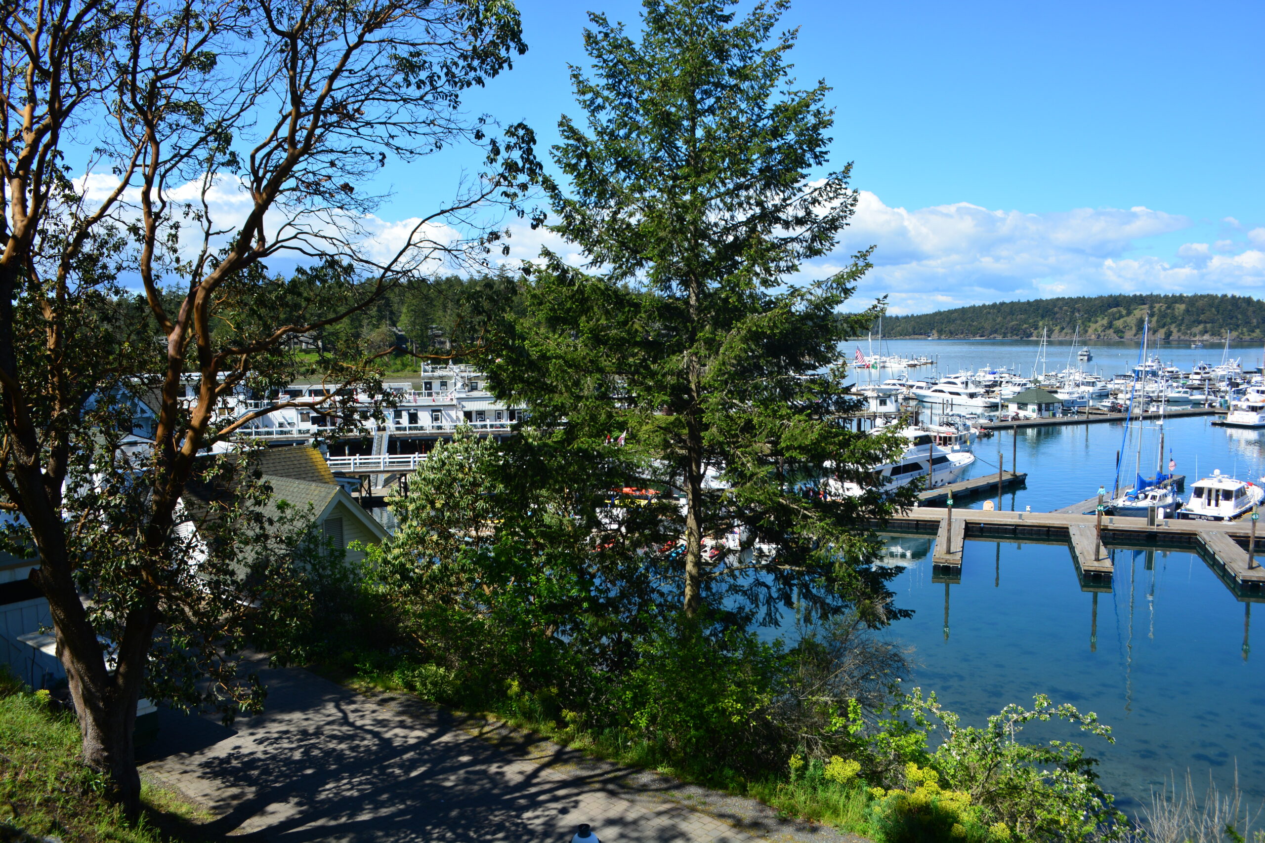 Roche Harbor Resort