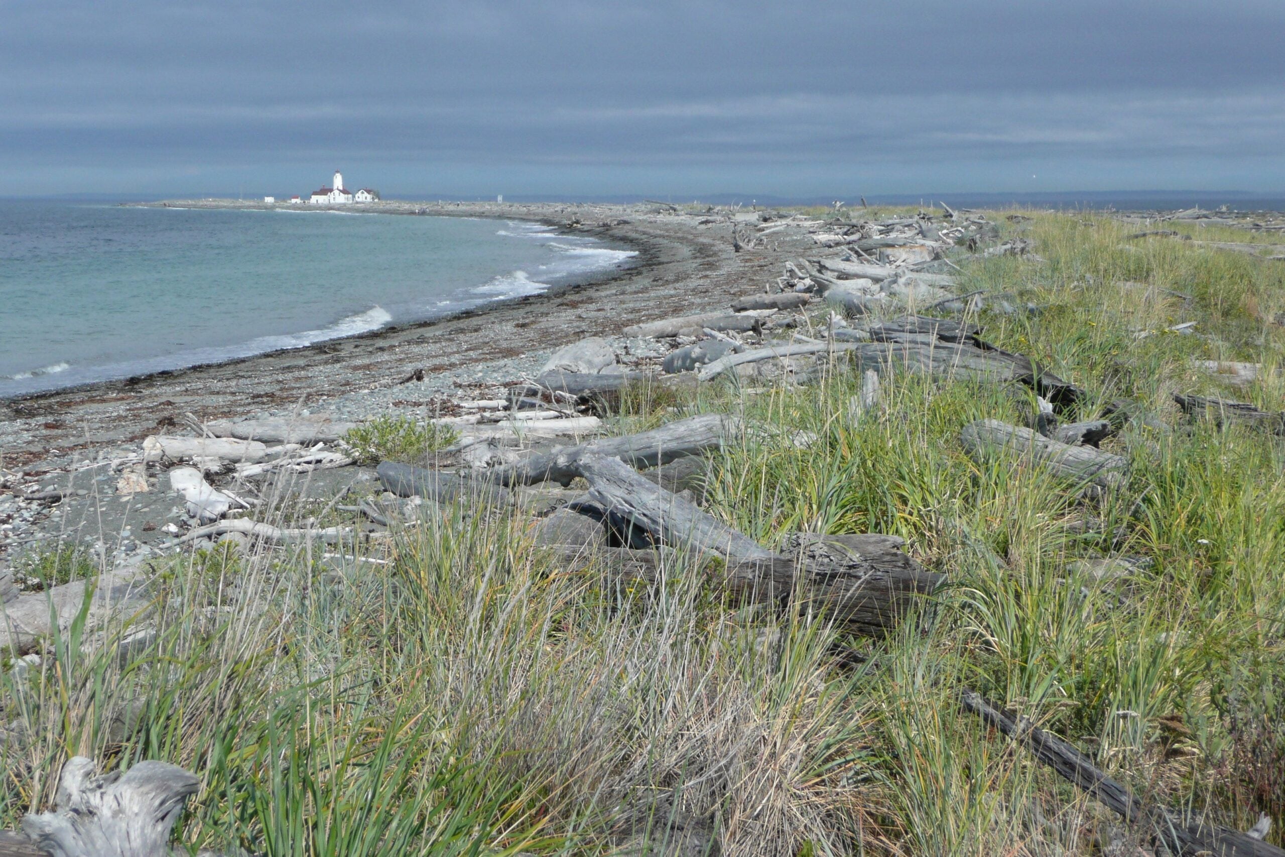 Dungeness Recreation Area Trails
