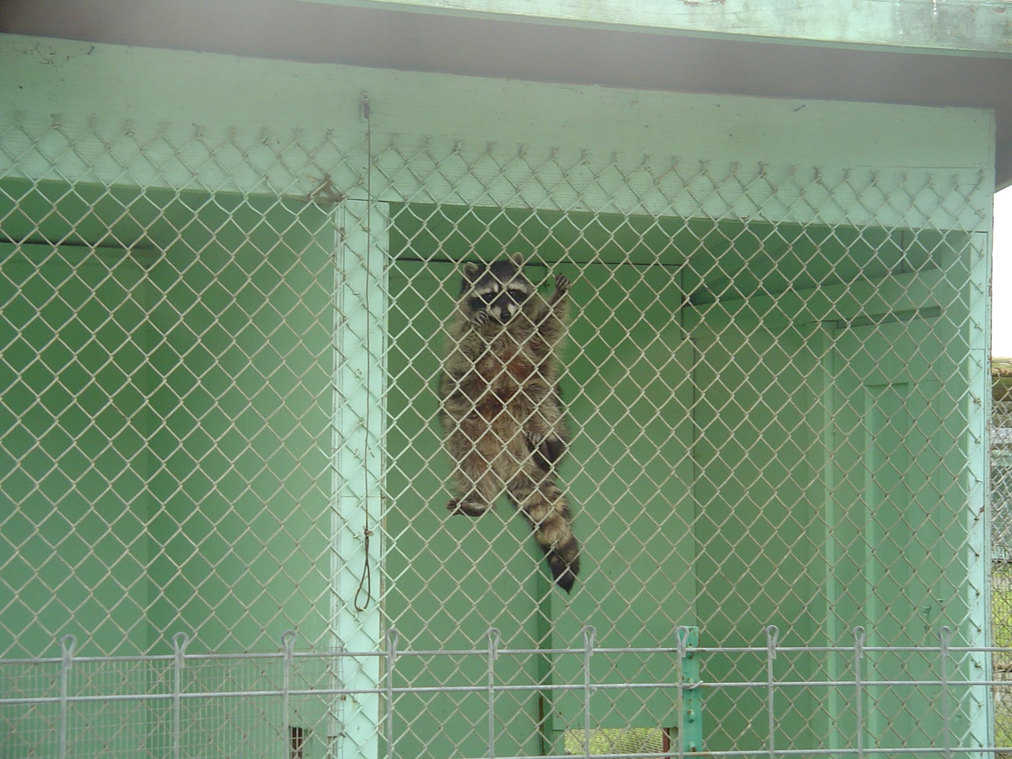 Olympic Game Farm