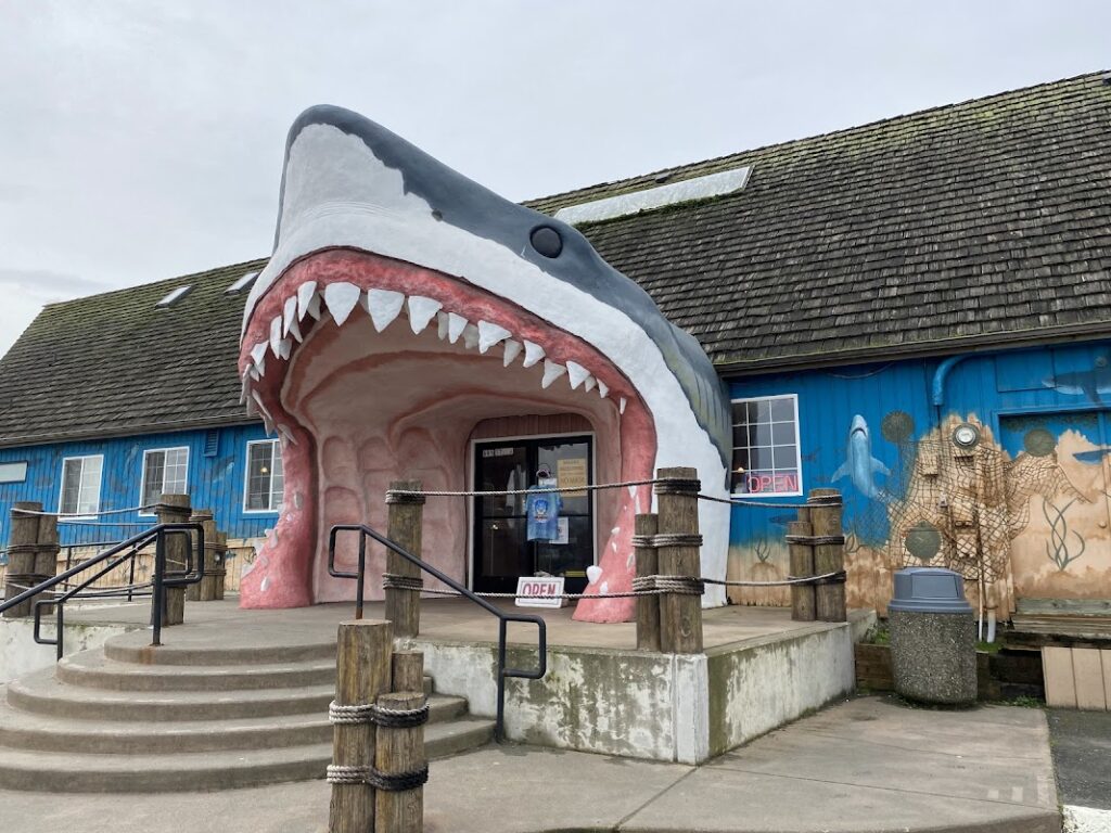 Sharky’s
