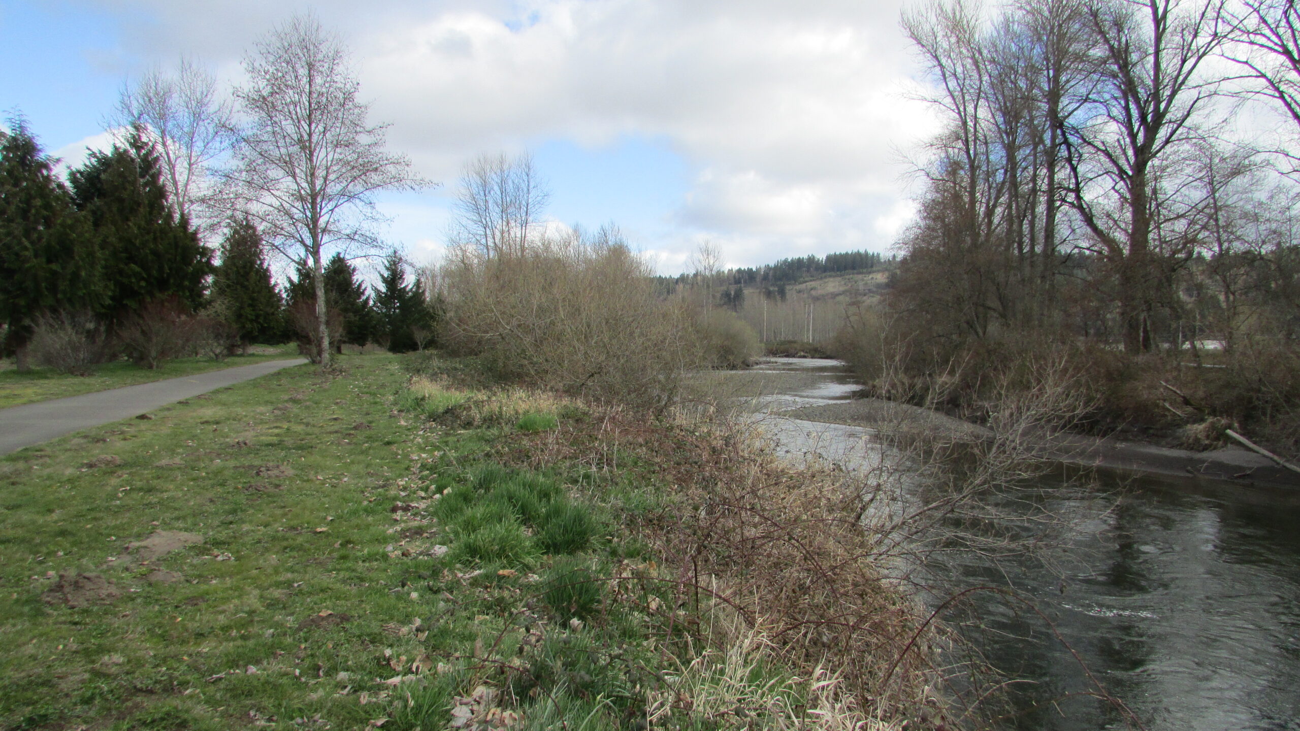 Sumner Link Trail Along the White River