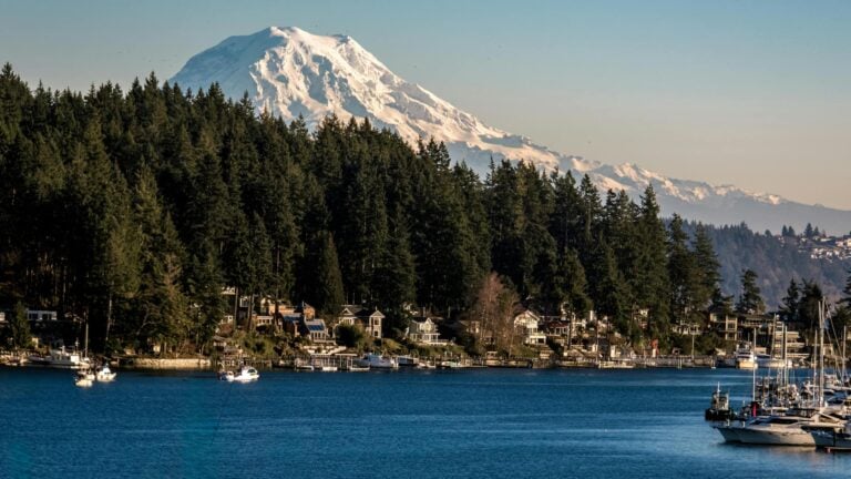 Mount Rainier rising above a Lake Washington waterfront neighborhood on a sunny summer day