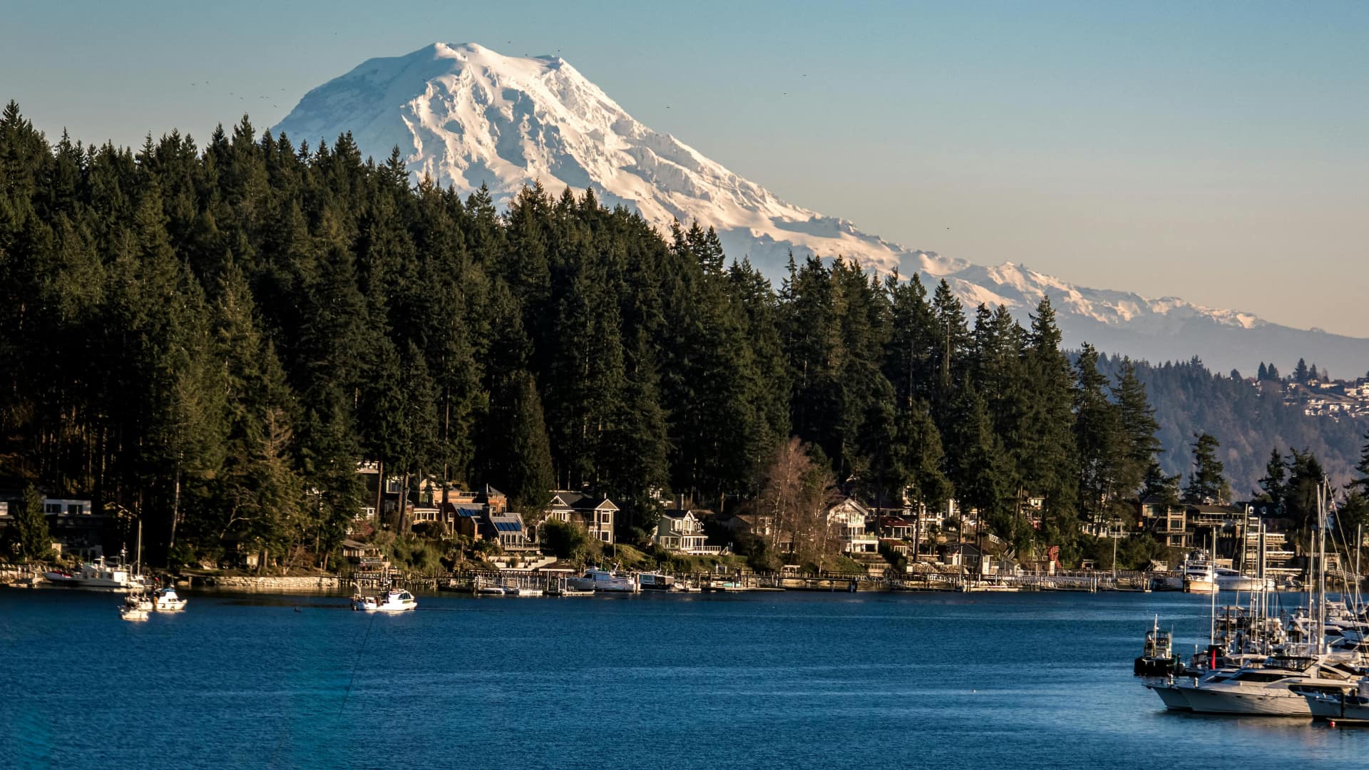 Mount Rainier rising above a Lake Washington waterfront neighborhood on a sunny summer day