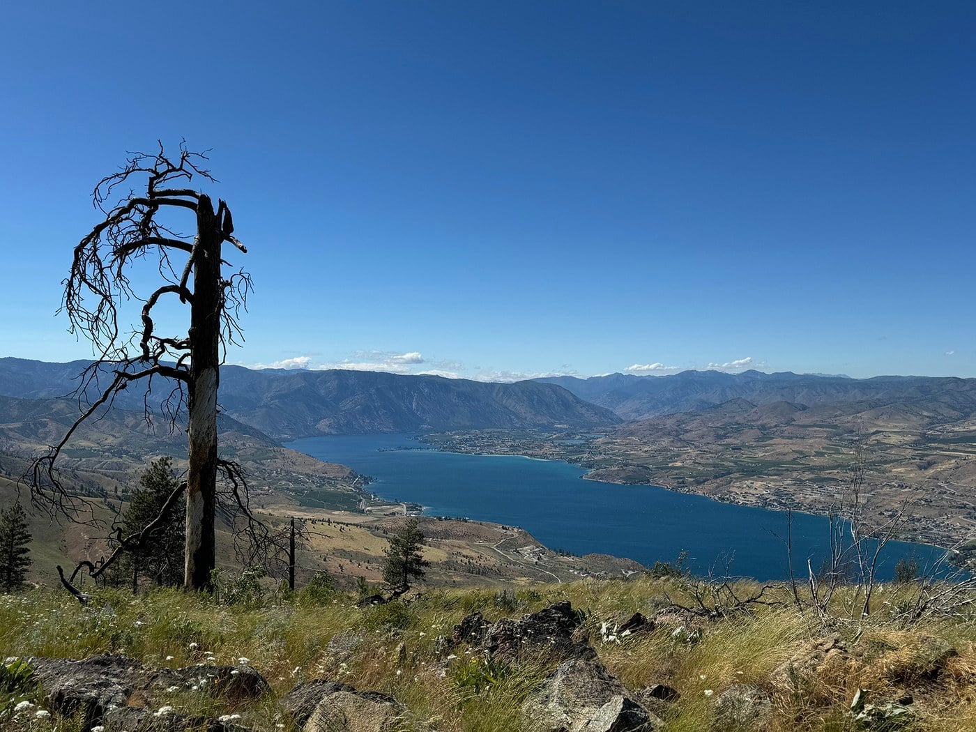 Chelan Butte Trail