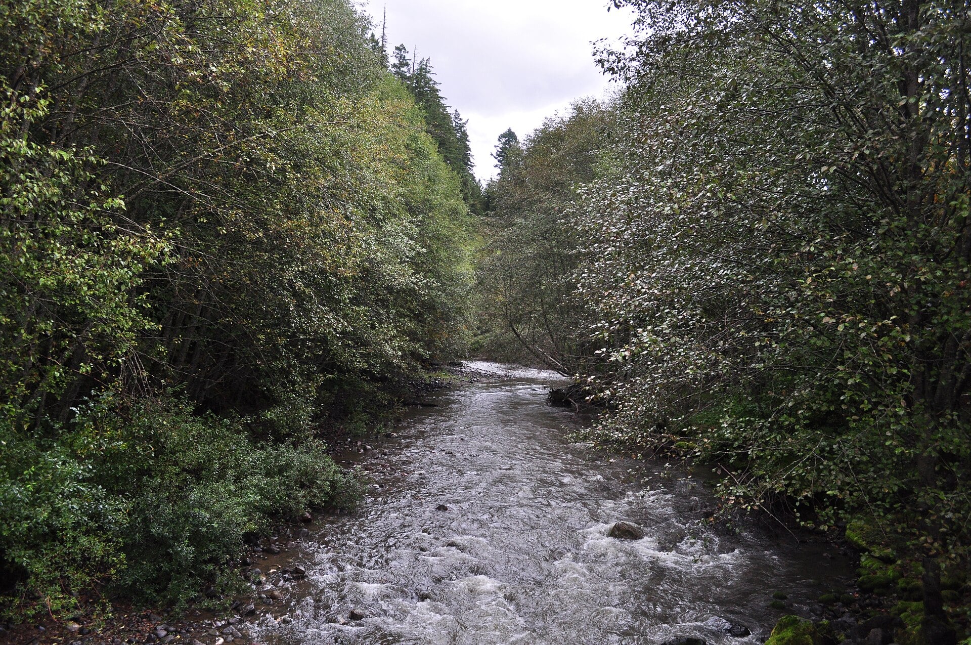 Drive the Chinook Scenic Byway