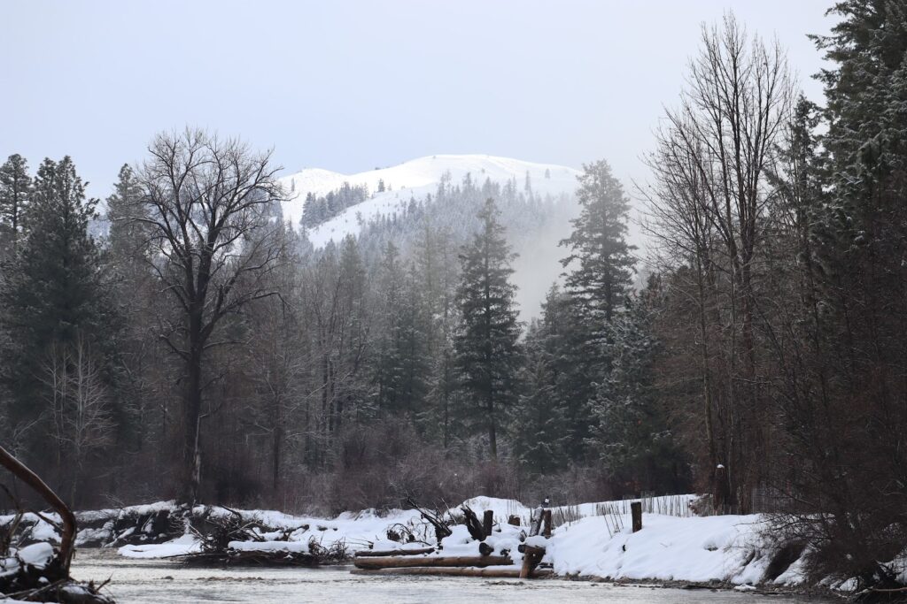 Methow Trails