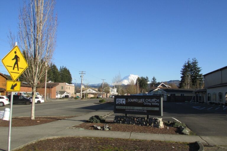 Orting