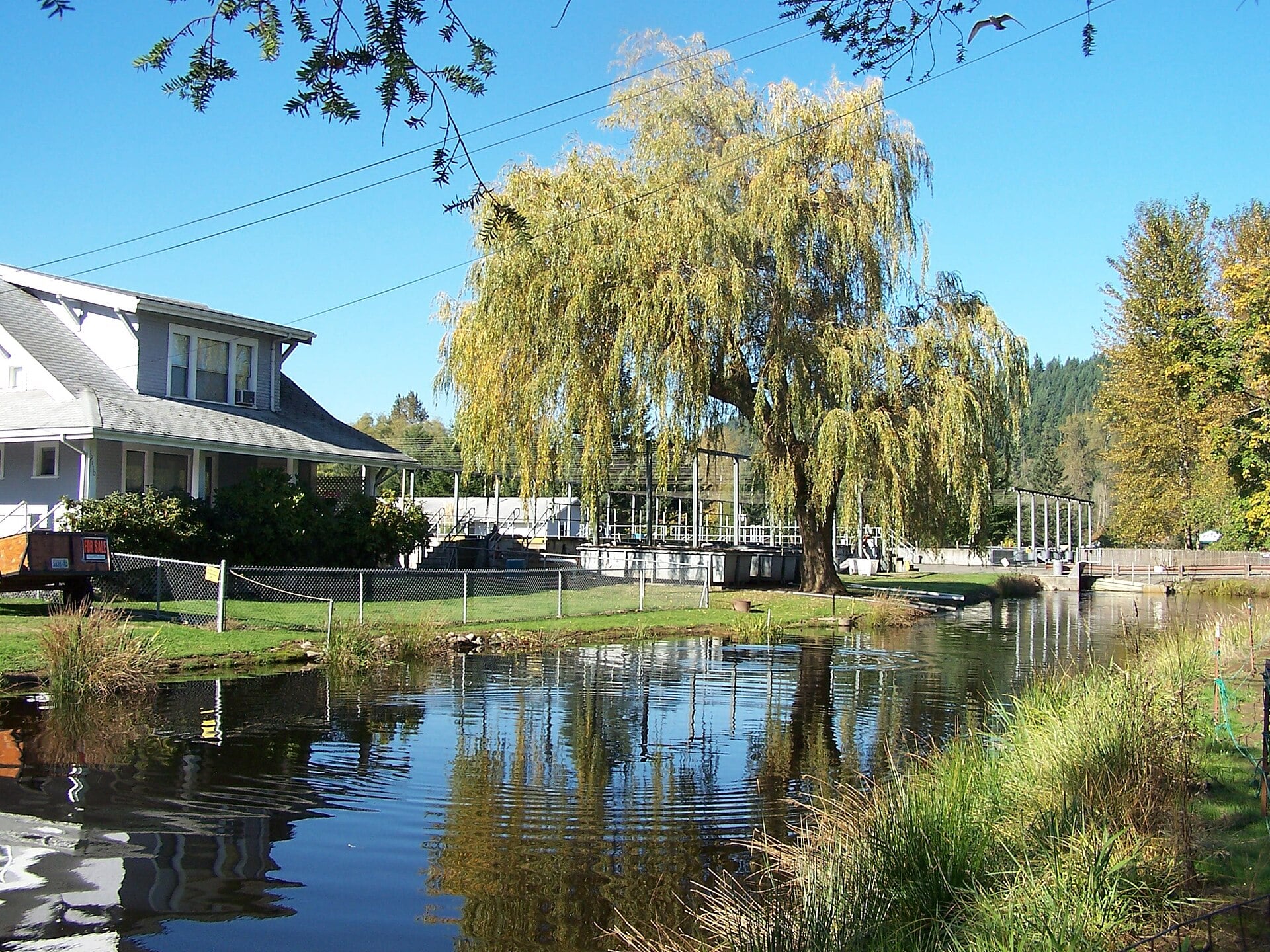 Voight Creek Fish Hatchery