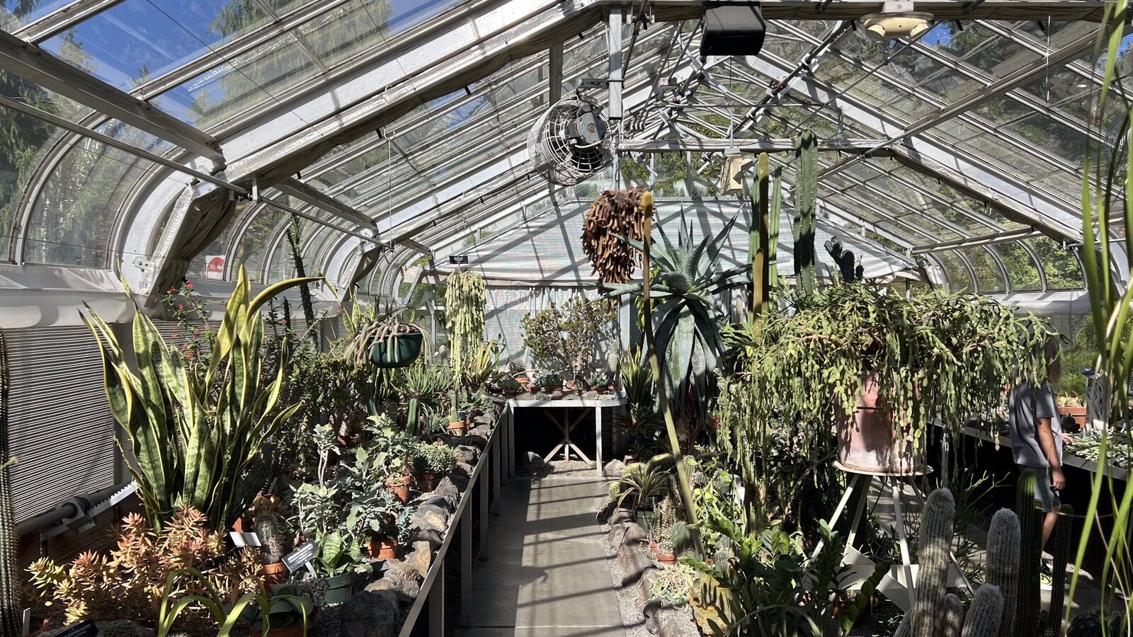 Cactus and succulent house inside the Gaiser Conservatory at Manito Park