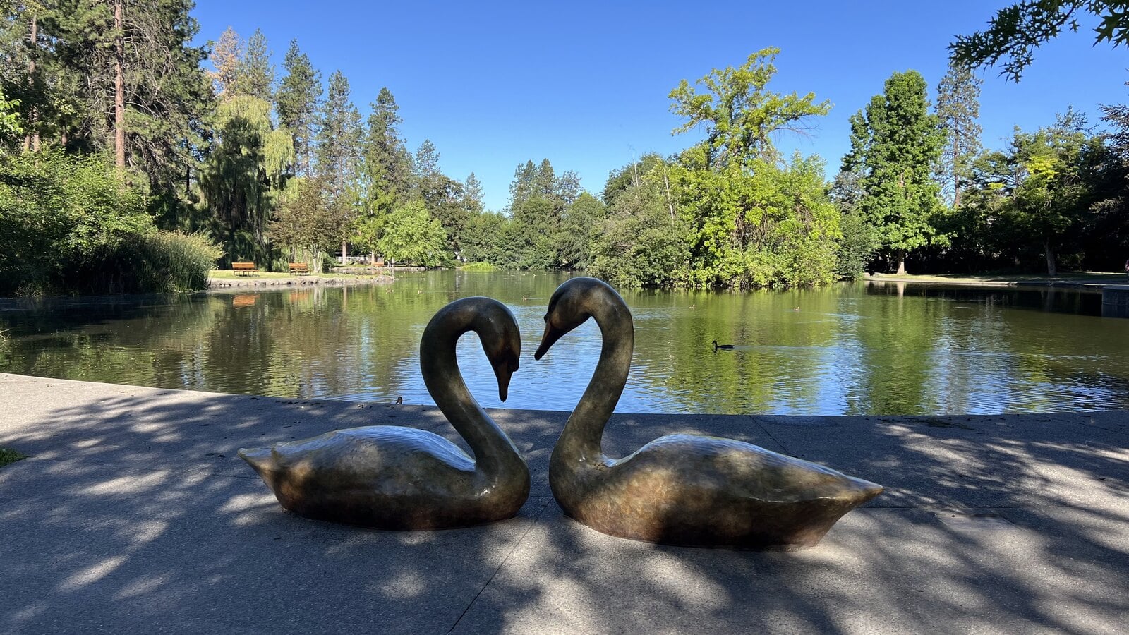 Bronze swan sculpture beside Mirror Pond at Manito Park in Spokane