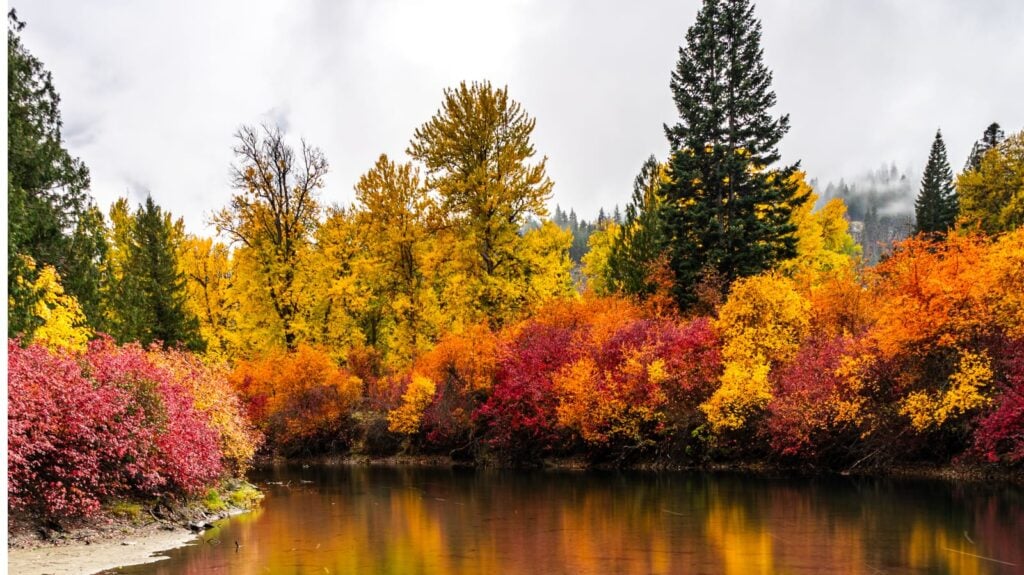 Fall Foliage in Washington State: Where and When to See Peak Color
