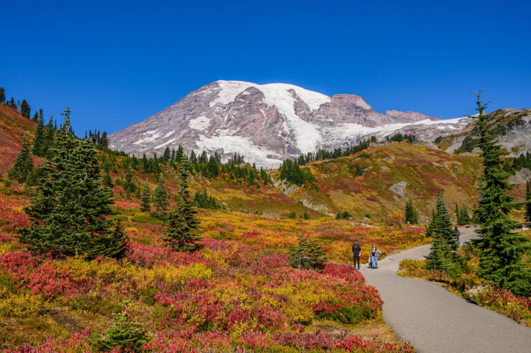 Hikers on a fall trail below Mount Rainier with a crimson meadow, fall hikes in Washington