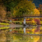 A footbridge over a river framed by golden fall forest