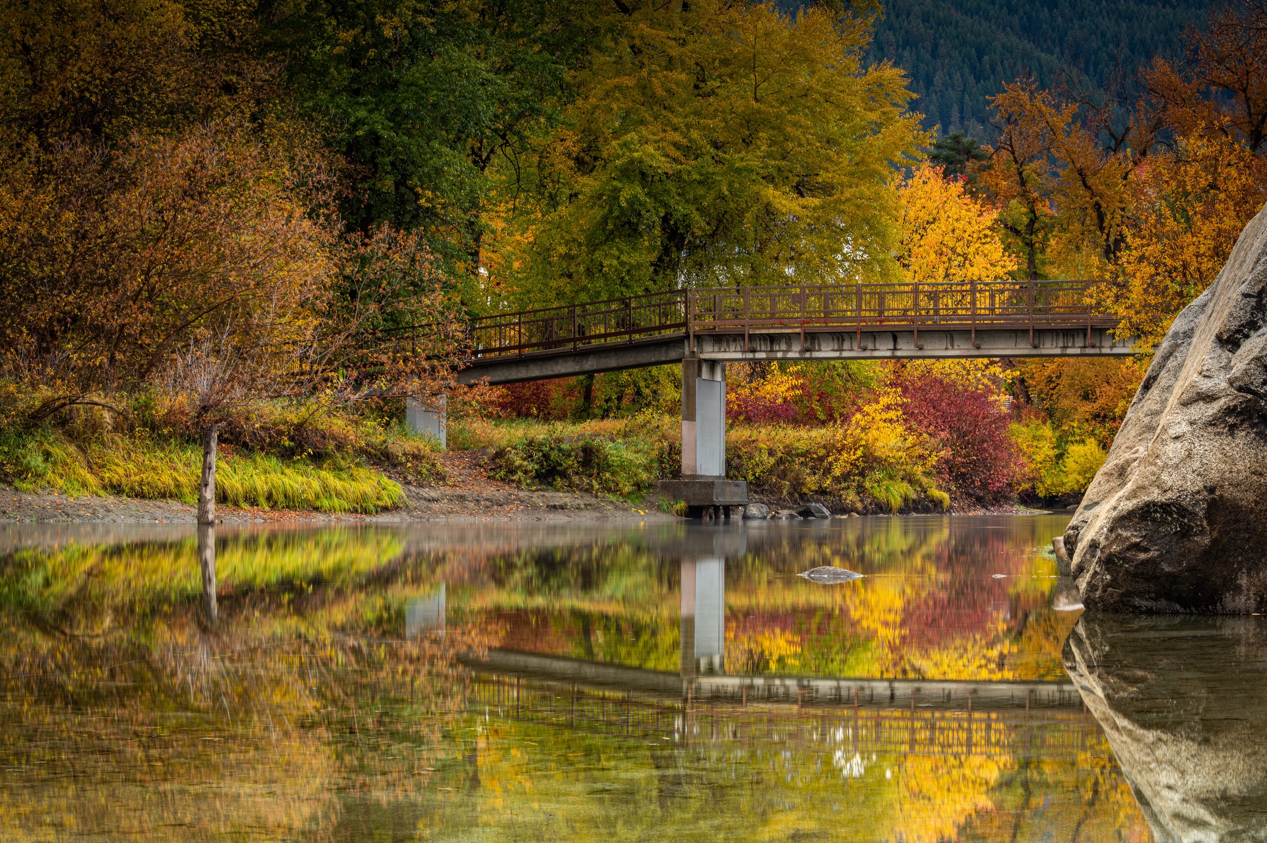 A footbridge over a river framed by golden fall forest