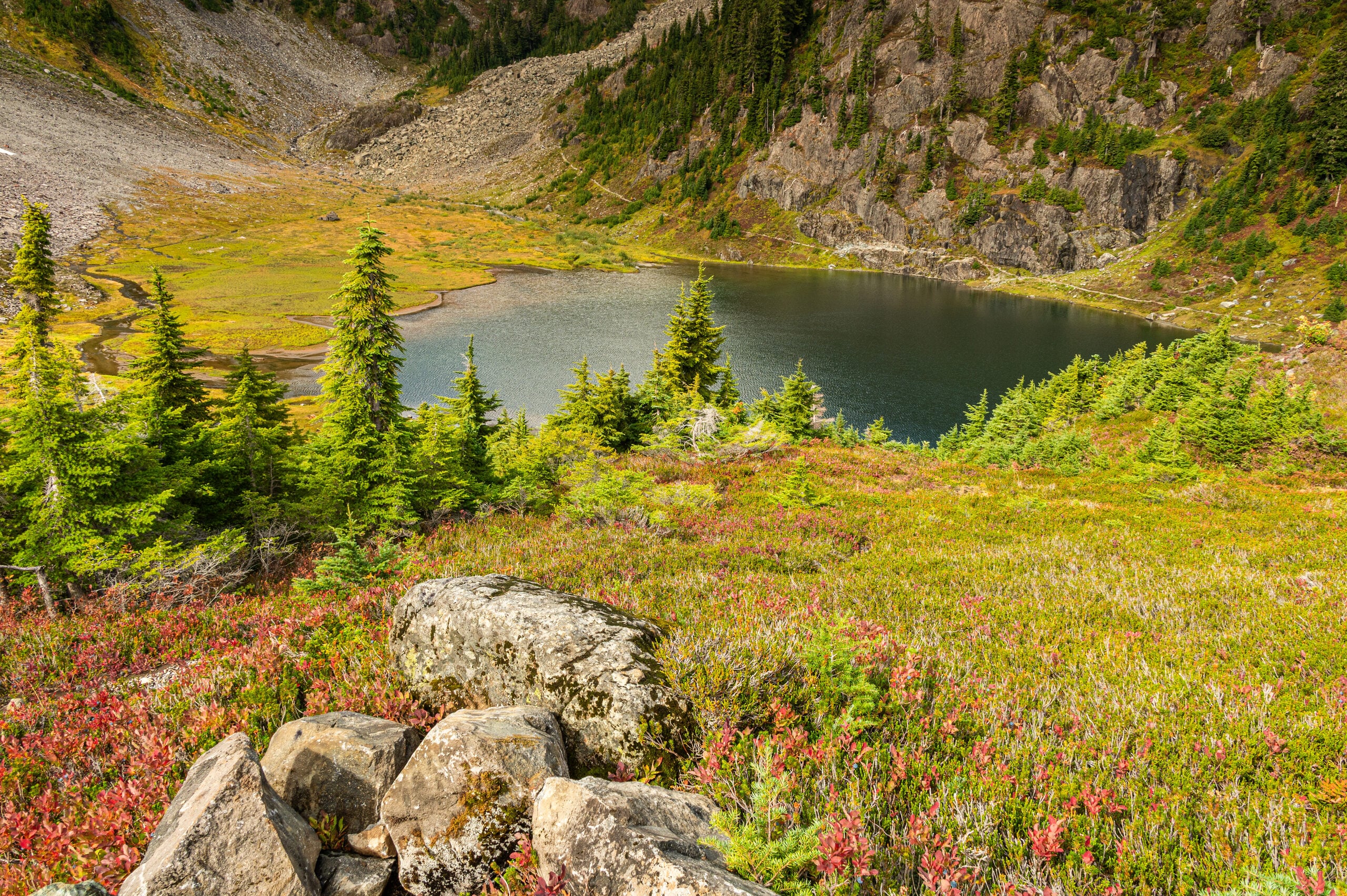 A North Cascades alpine basin and tarn ringed by fall color