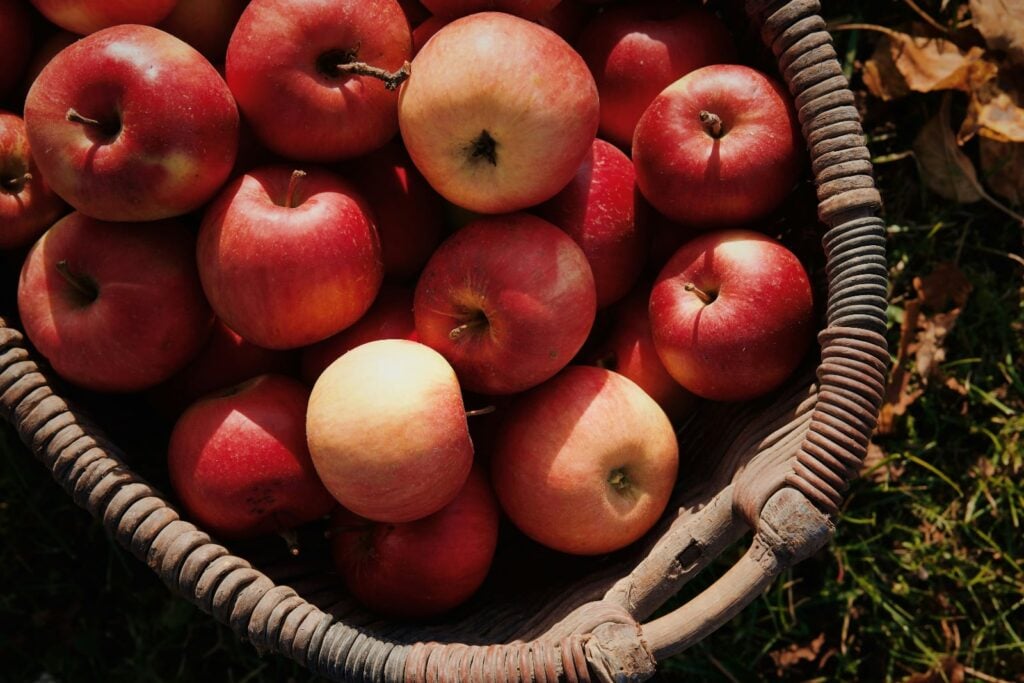 Apple and Harvest Festivals in Washington State: 2026 Dates and Guide