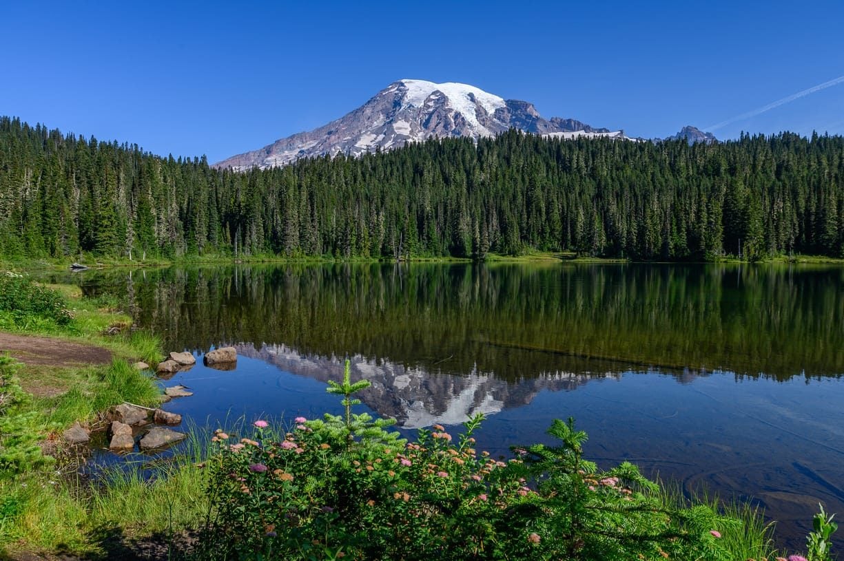 Mount Rainier reflected in Reflection Lakes on a clear summer morning, Mount Rainier National Park, Washington