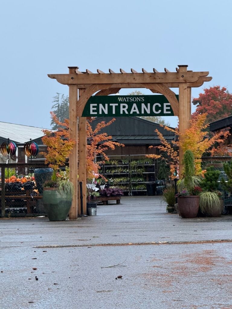 Watson’s Greenhouse and Nursery