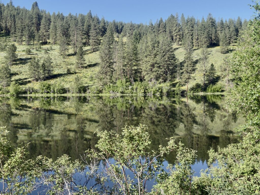 A pine covered slope mirrored in the calm water of Pearrygin Lake