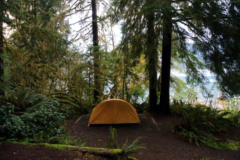 Free Camping in Washington State: What to Know Before You Go