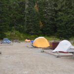 Four tents pitched on raised tent pads at Mowich Lake Campground in Mount Rainier National Park, ringed by dense conifer forest