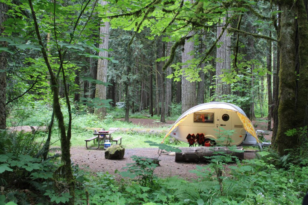 Forested campsites beneath tall second growth trees at Rainbow Falls State Park in Lewis County, southwest Washington