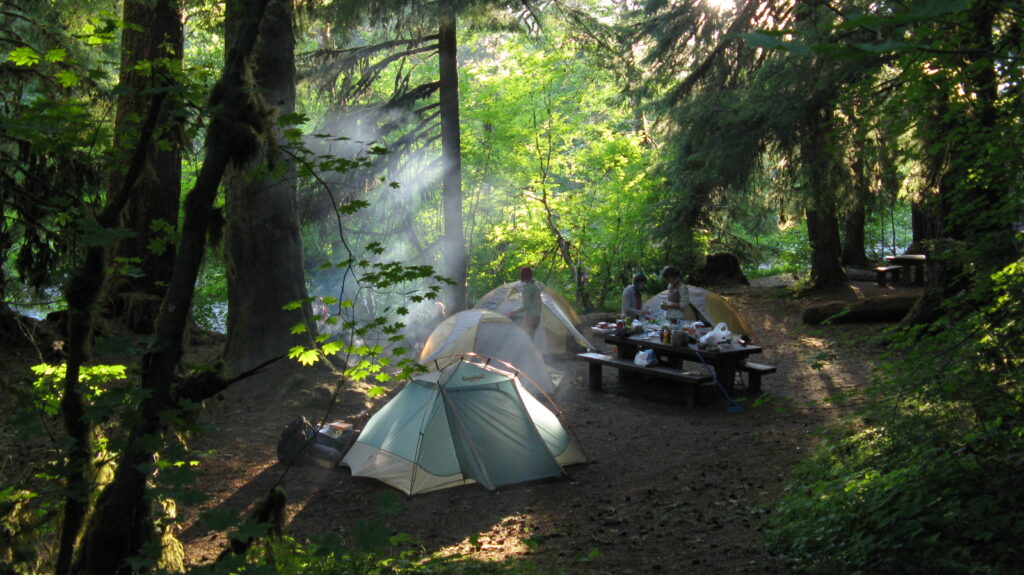 Campers at a wooded campsite in Sol Duc Campground, Olympic National Park