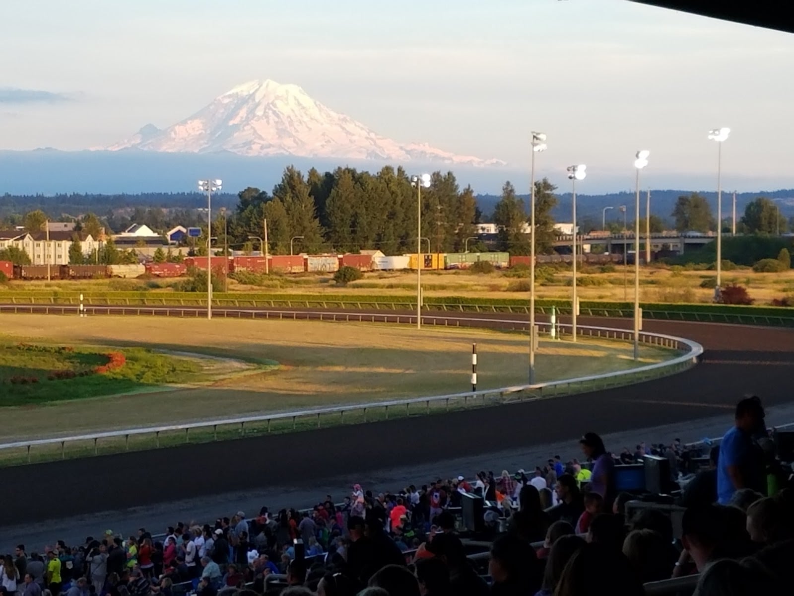 Emerald Downs: Live Thoroughbred Racing With Mount Rainier in the Background