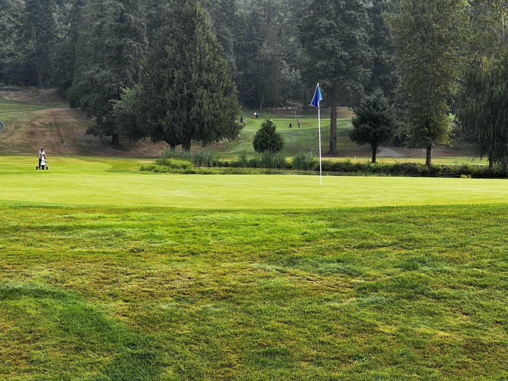 A green with a blue flag at Maplewood Golf Course below a wooded hillside