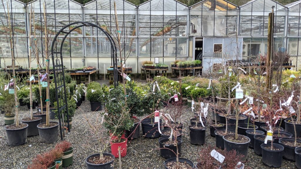 Squak Mt. Greenhouses & Nursery
