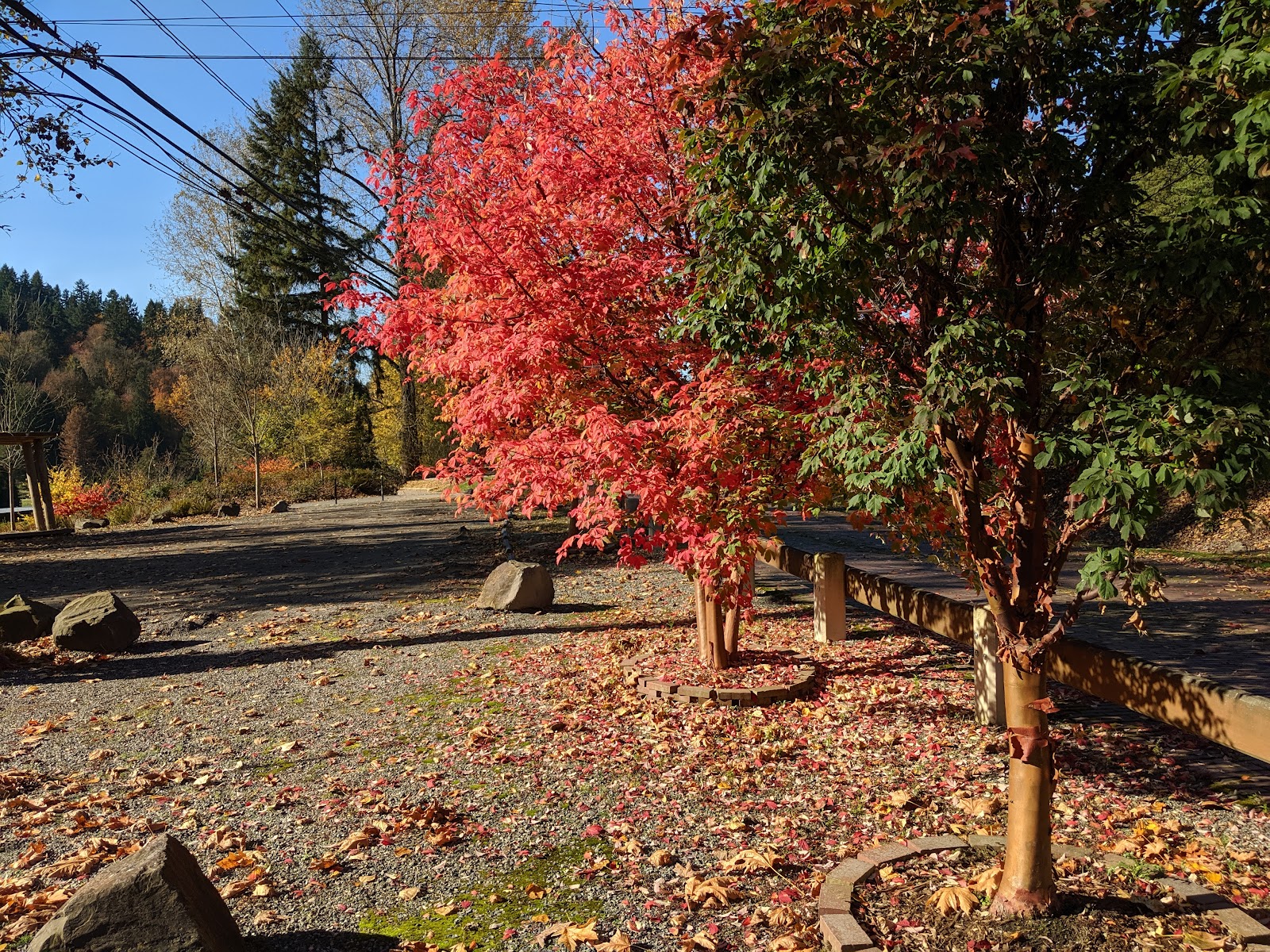 Red Brick Road Park: The Last Stretch of the 1913 Highway to Seattle