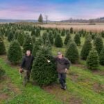 Two men stand beside a tall Christmas tree in the cut your own field at Stocker Farms in Snohomish, Washington, under a pink dusk sky