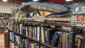 Giant Nerd Books