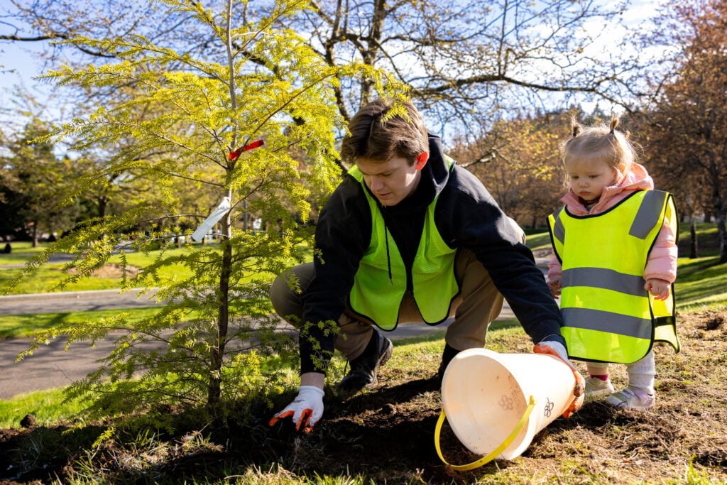 A volunteer in a safety vest plants a young tree while a toddler in a vest watches during Auburn Clean Sweep