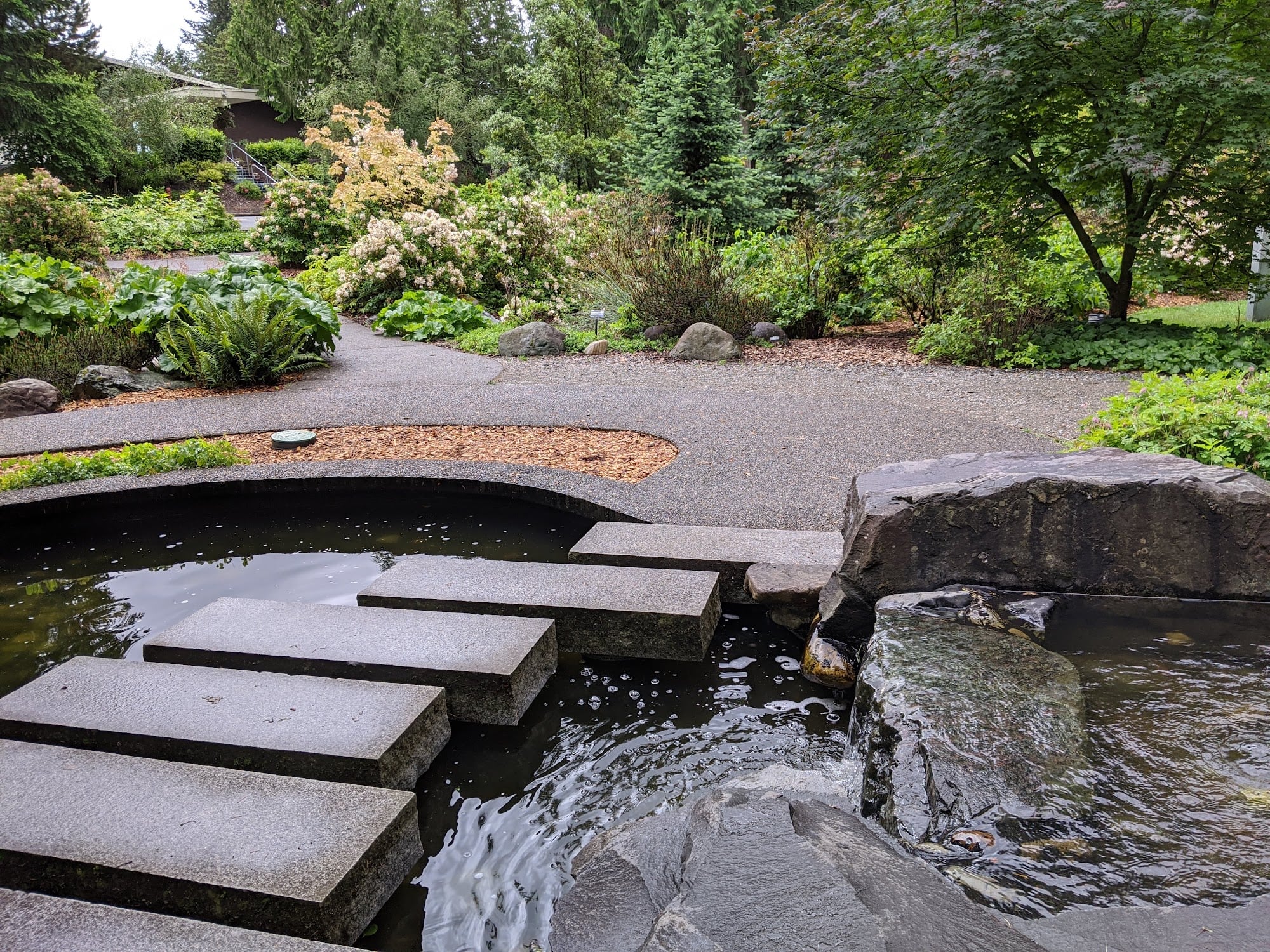 Lake Wilderness Arboretum: One of the World's Largest Western Azalea Collections