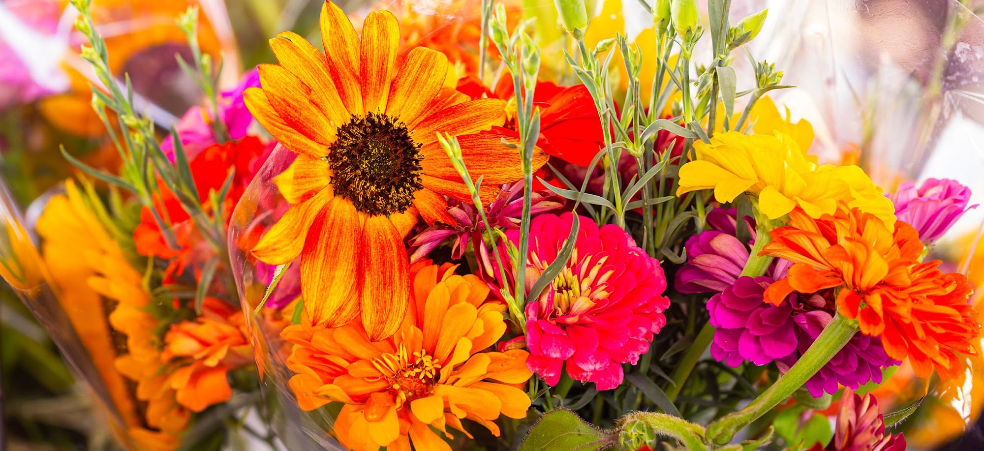 Maple Valley Farmers Market: Saturdays at the Legacy Site, May Through October